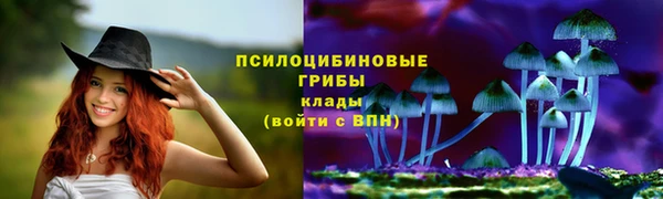 MESCALINE Вяземский